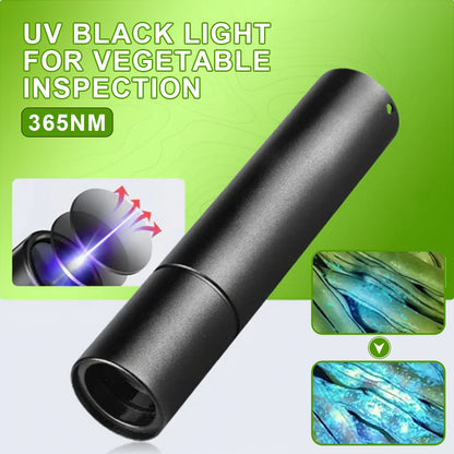 Billhol® UV Black Light Flashlight for Vegetable Inspection