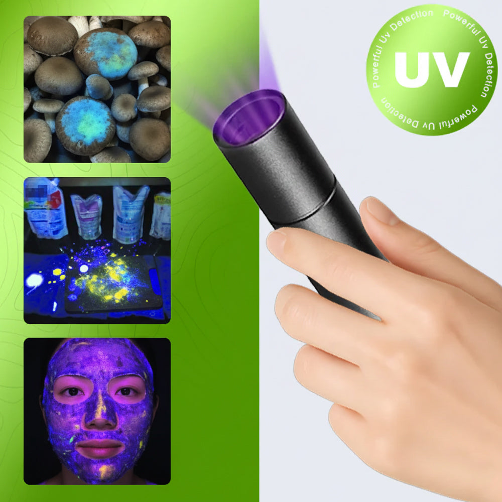 Billhol® UV Black Light Flashlight for Vegetable Inspection