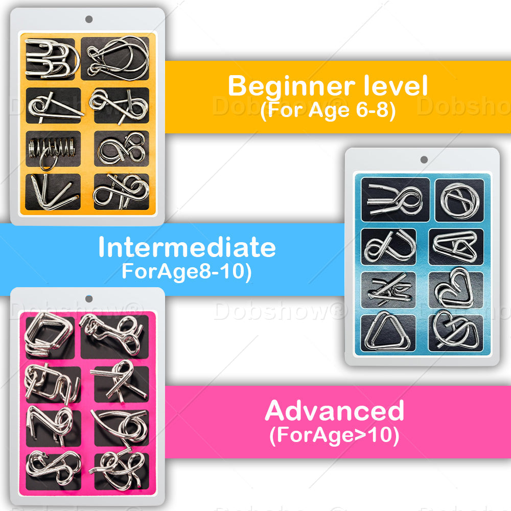 Dobshow® 3D Metal Challenge Puzzle Toy