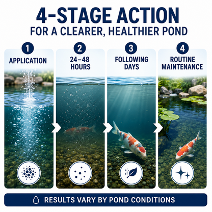 Dobshow®  AquaClear Instant Pro Formula