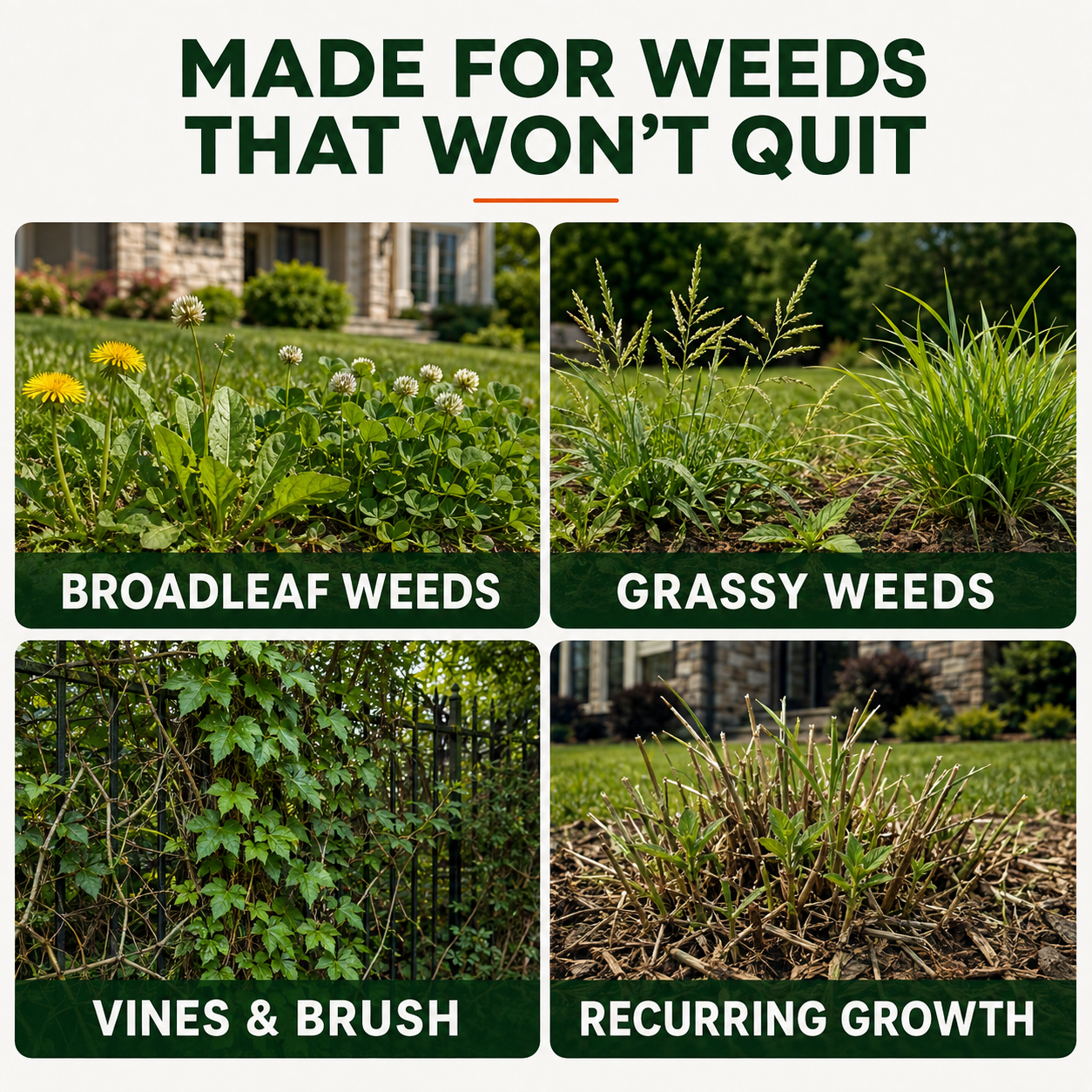 Healrize® 3X RootForce Triple-Action Herbicide